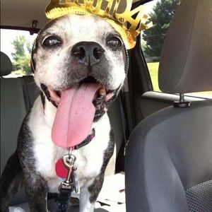 Meet your Posher, Leann